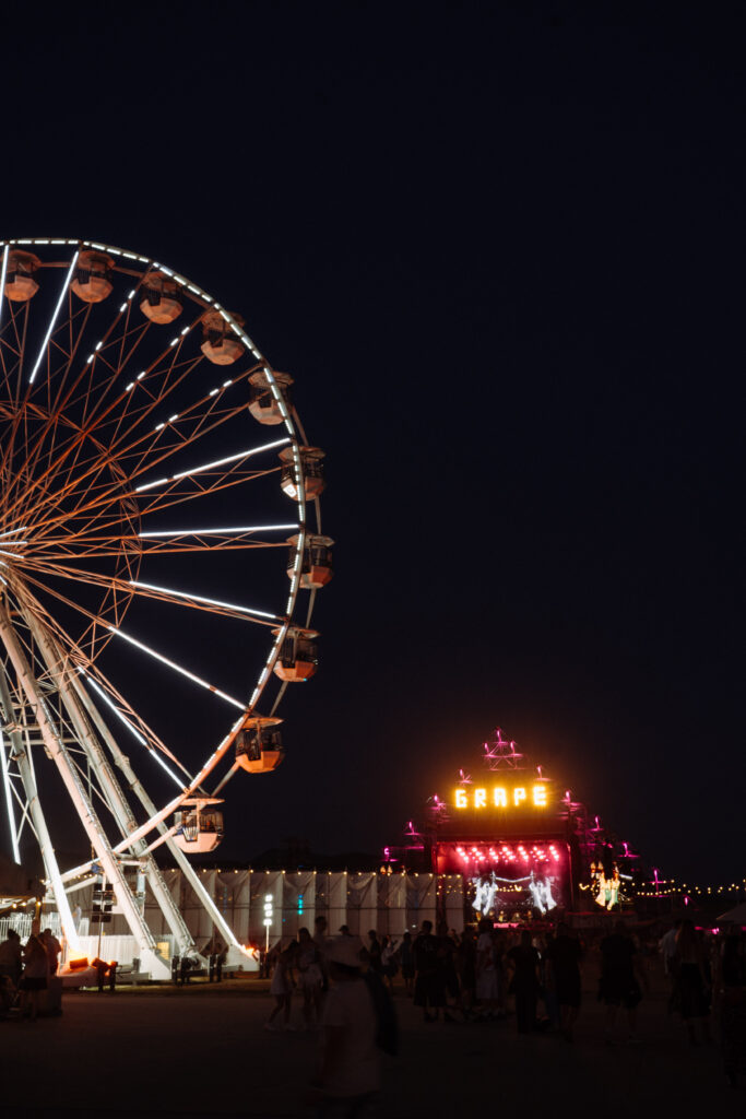 Ferris wheel and festival grounds at Grape Festival 2026 at night